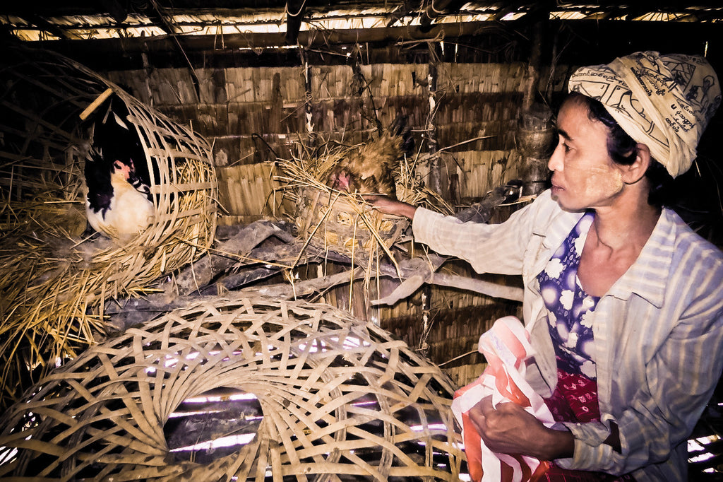 Chickens Make Change, Myanmar (Burma)