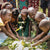 Restoring Creation