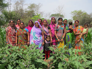 Village Package: Champa District, India